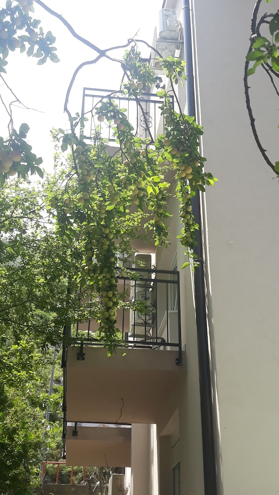 Villa Odobasic view 5