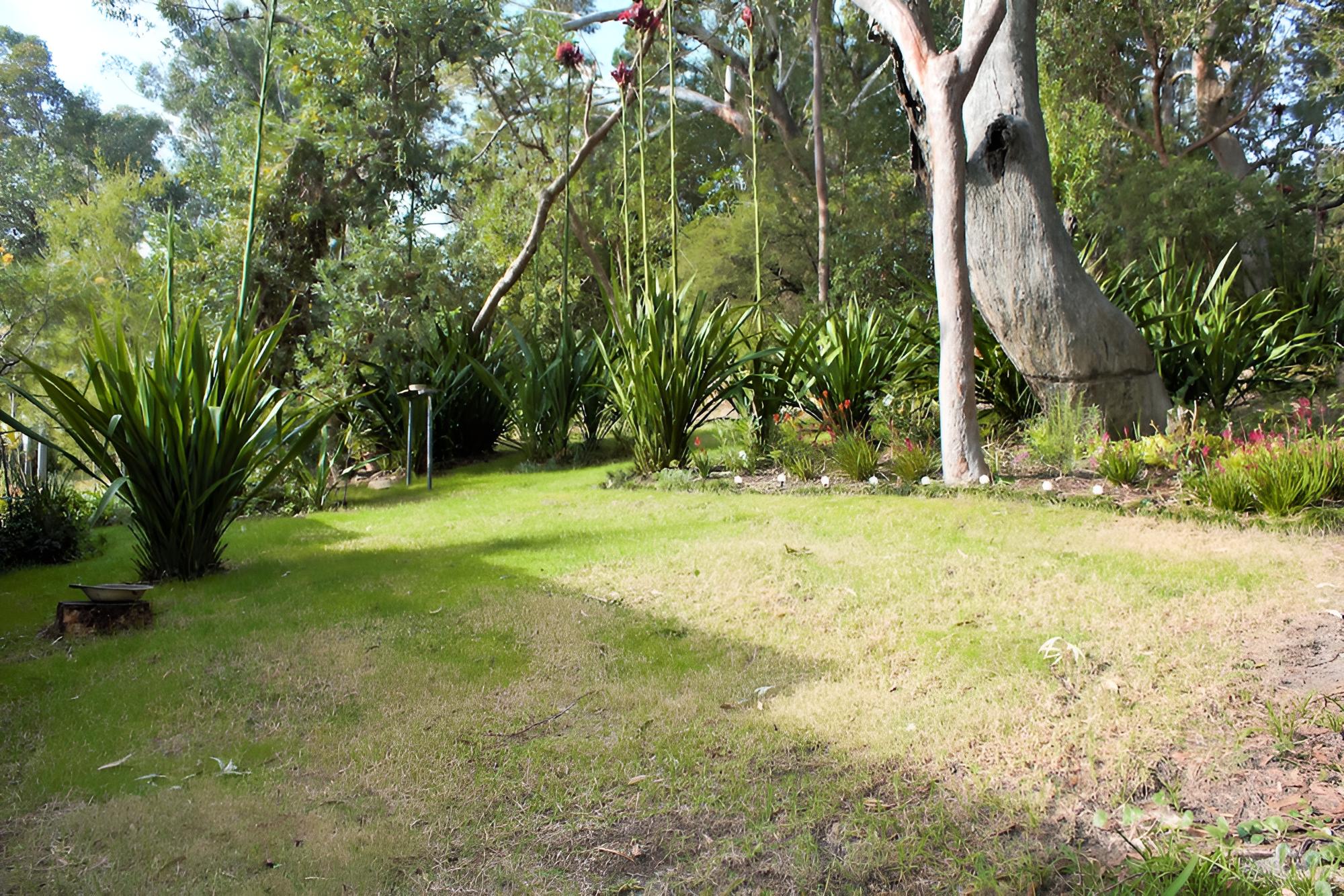 Nelson Bay Bed & Breakfast