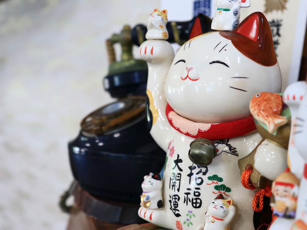 Toushijima Onsen Suzunami