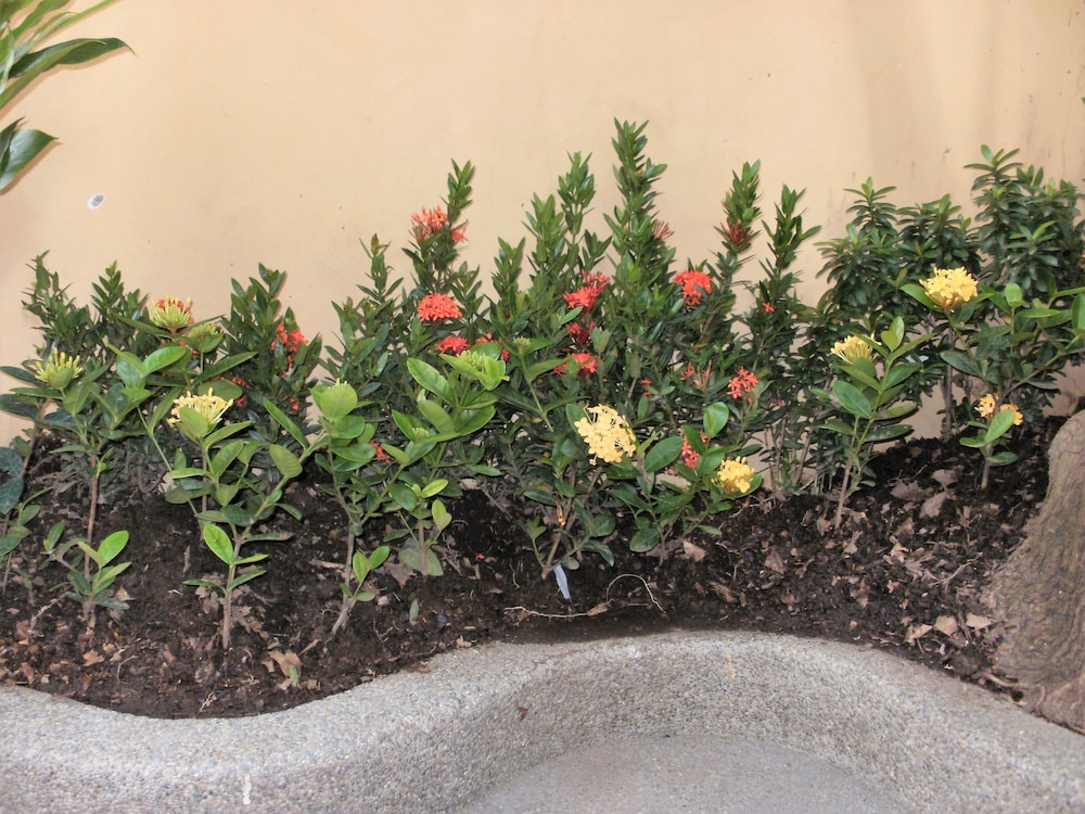 Photo 42