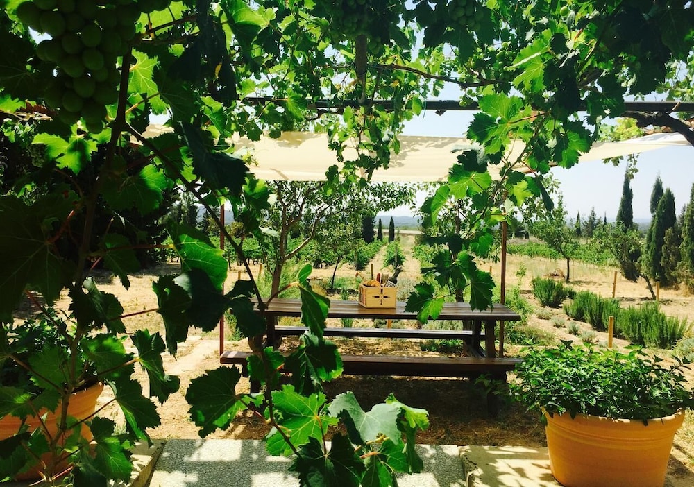 El Recer de Masia Serra - Adults Only view 3