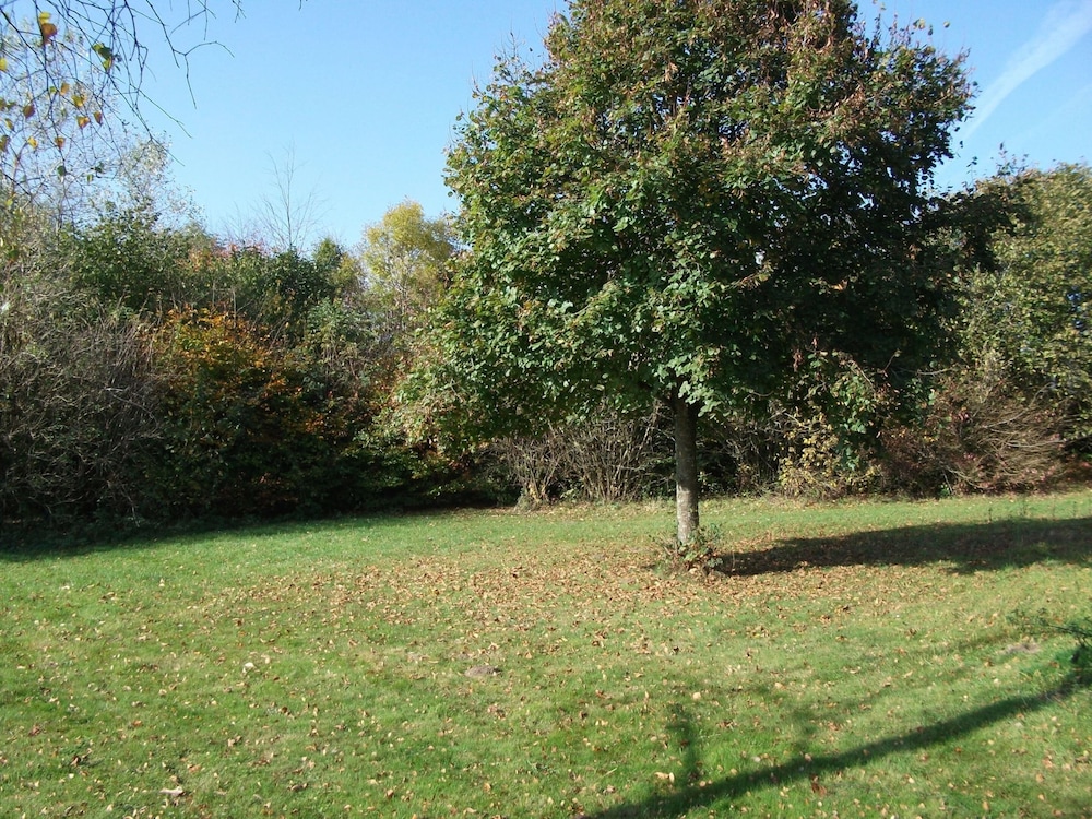 Photo 27