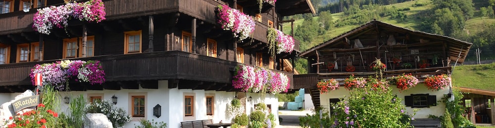 Bio-Bauernhof Matzhof