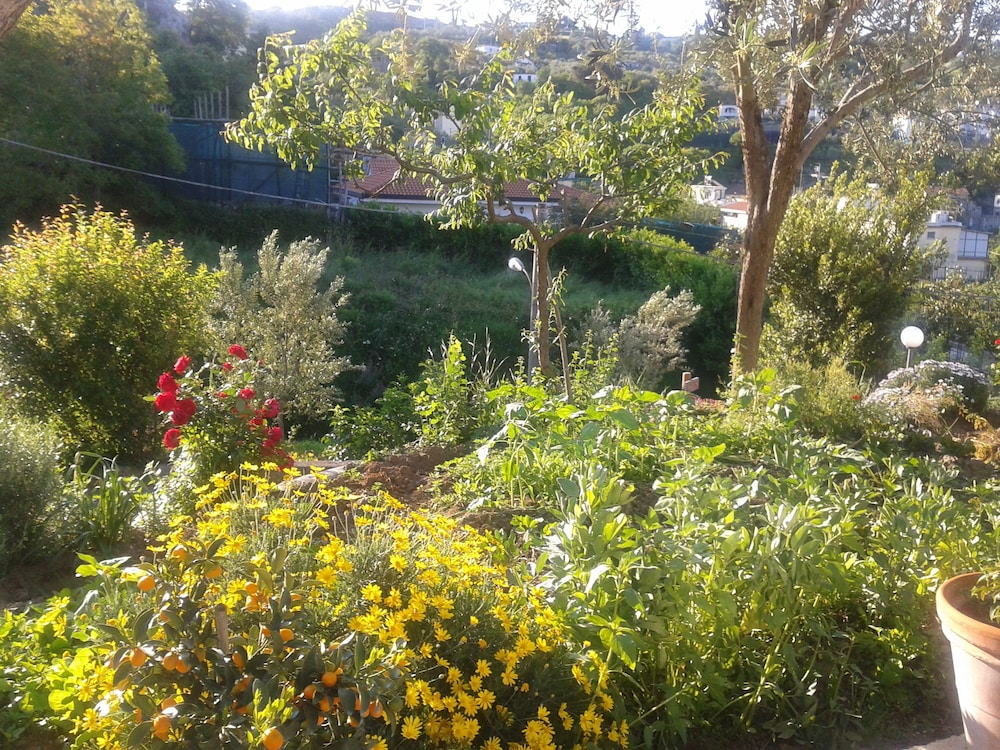 Photo 33