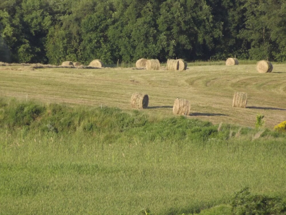 Tenuta i Lecci di Gurian Roberta Maura