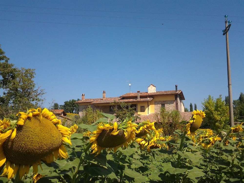 Photo 22
