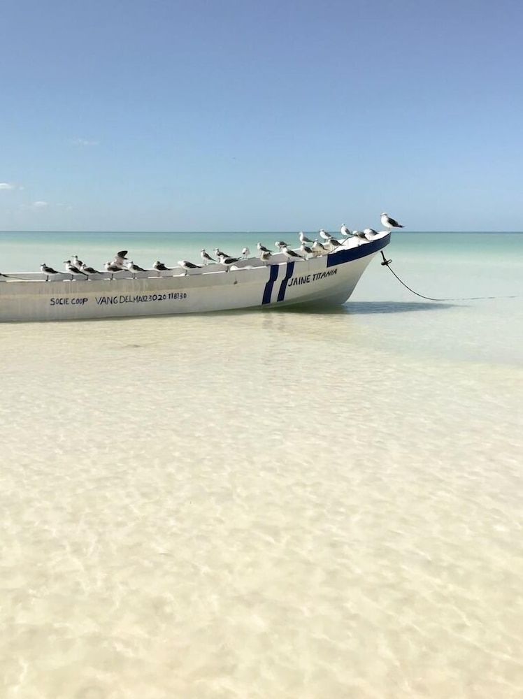 Isla Holbox Vacations - Ser Casasandra Boutique Hotel - Property Image 173