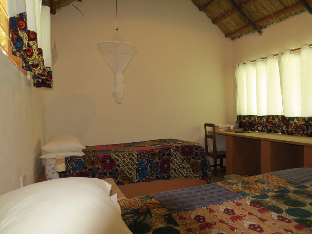 Croc Valley Camp