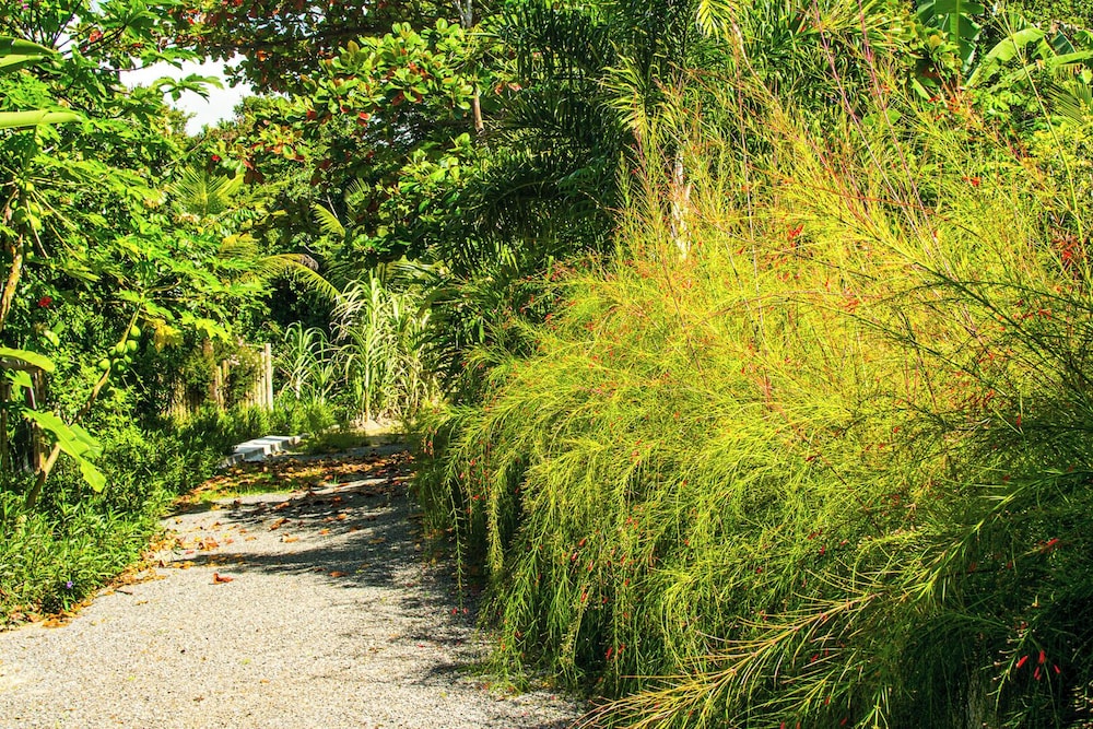 Quinta do Brasil Trancoso
