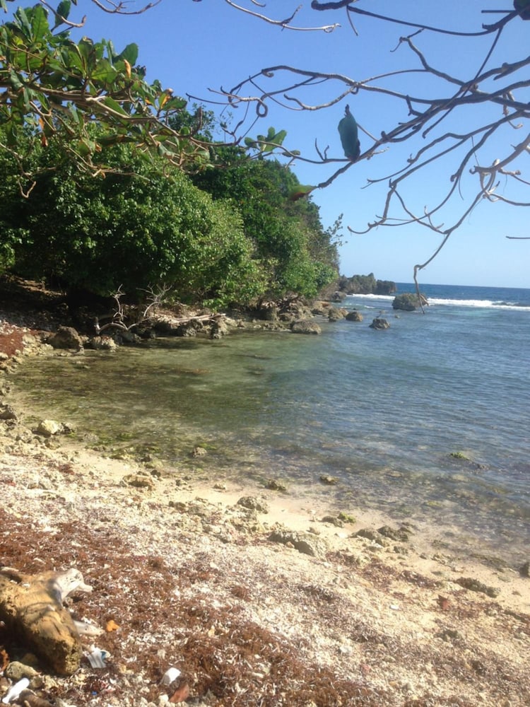 Photo 19