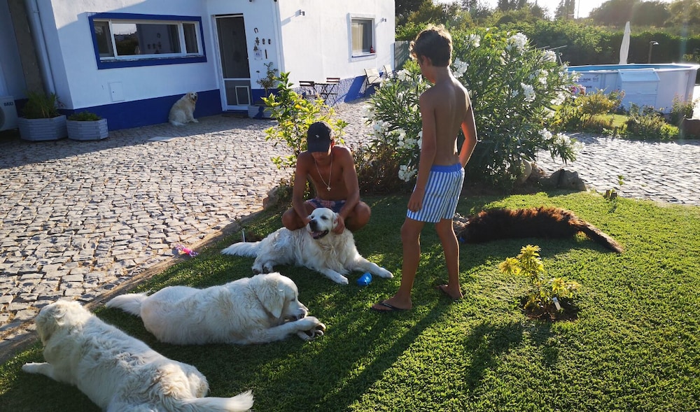 Photo 40