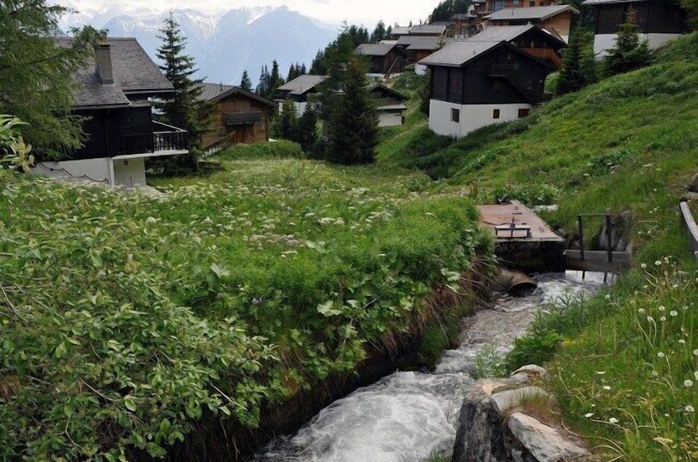 Photo 20