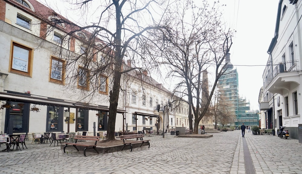 JAIS Home-Moon Apartment-Old Town/ Muzeului Square