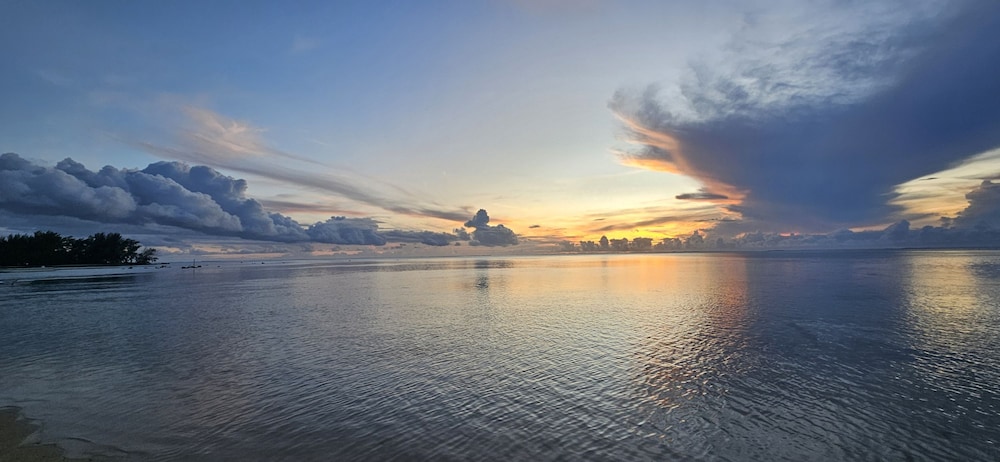 Moorea - Tropical Nest