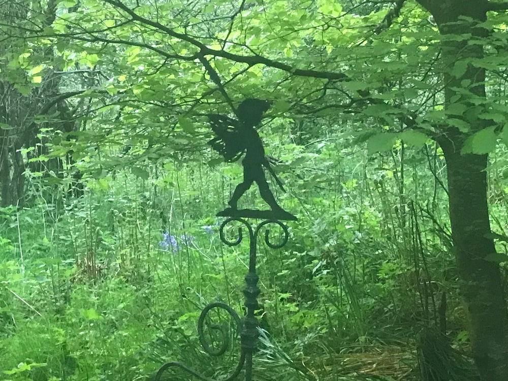 Organic Welltree