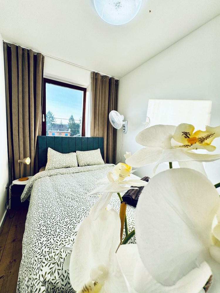 Spacious Budget Home Garden Stay