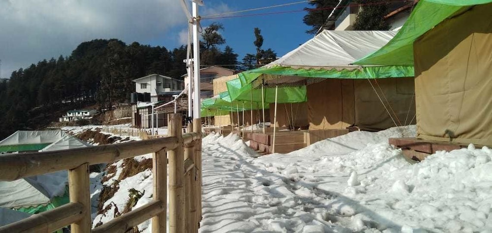 Junglee Camps & Resort view 5