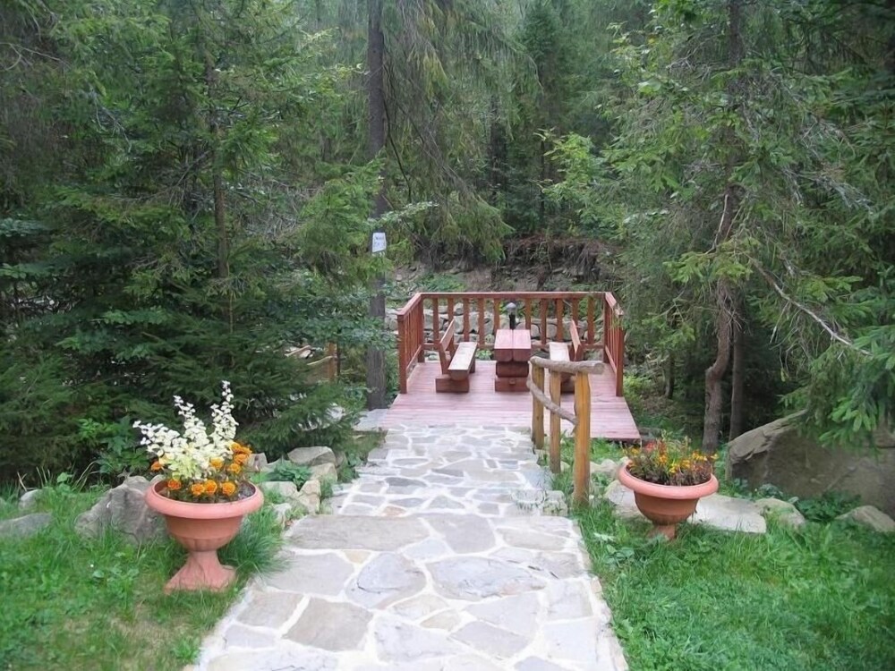Photo 38