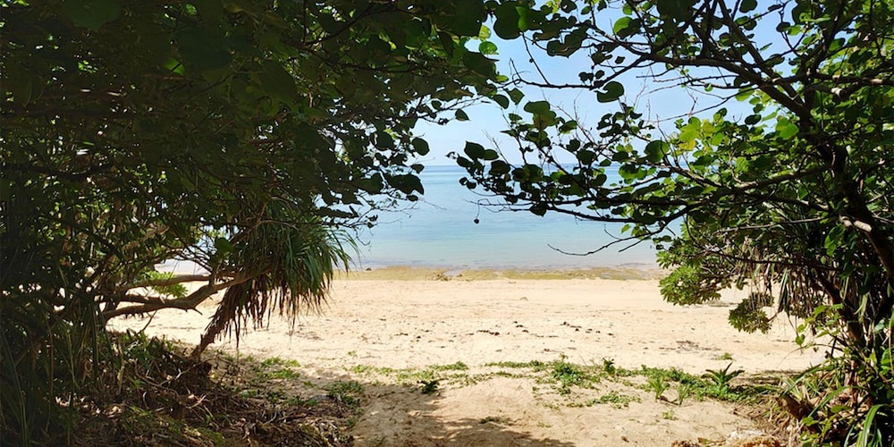 Cocoro Malolo
