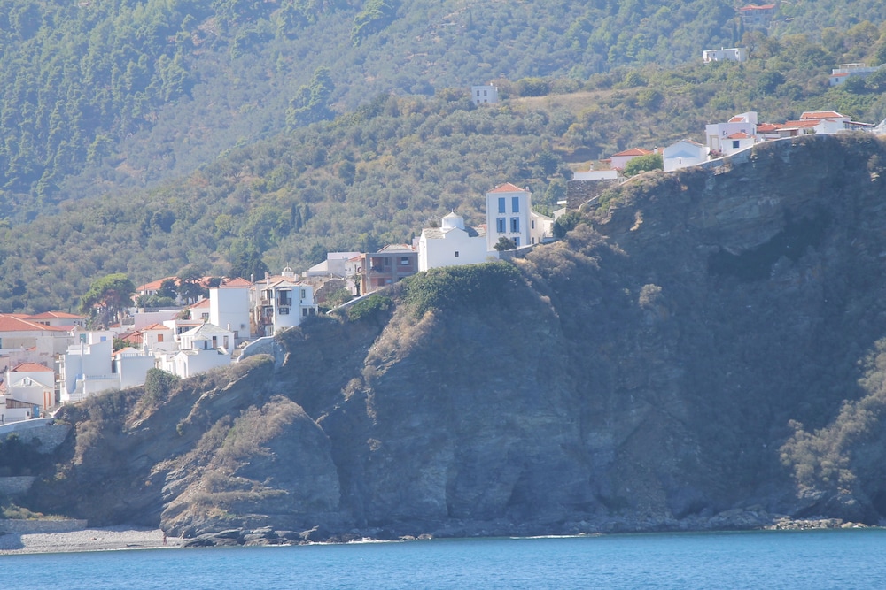 Photo 41