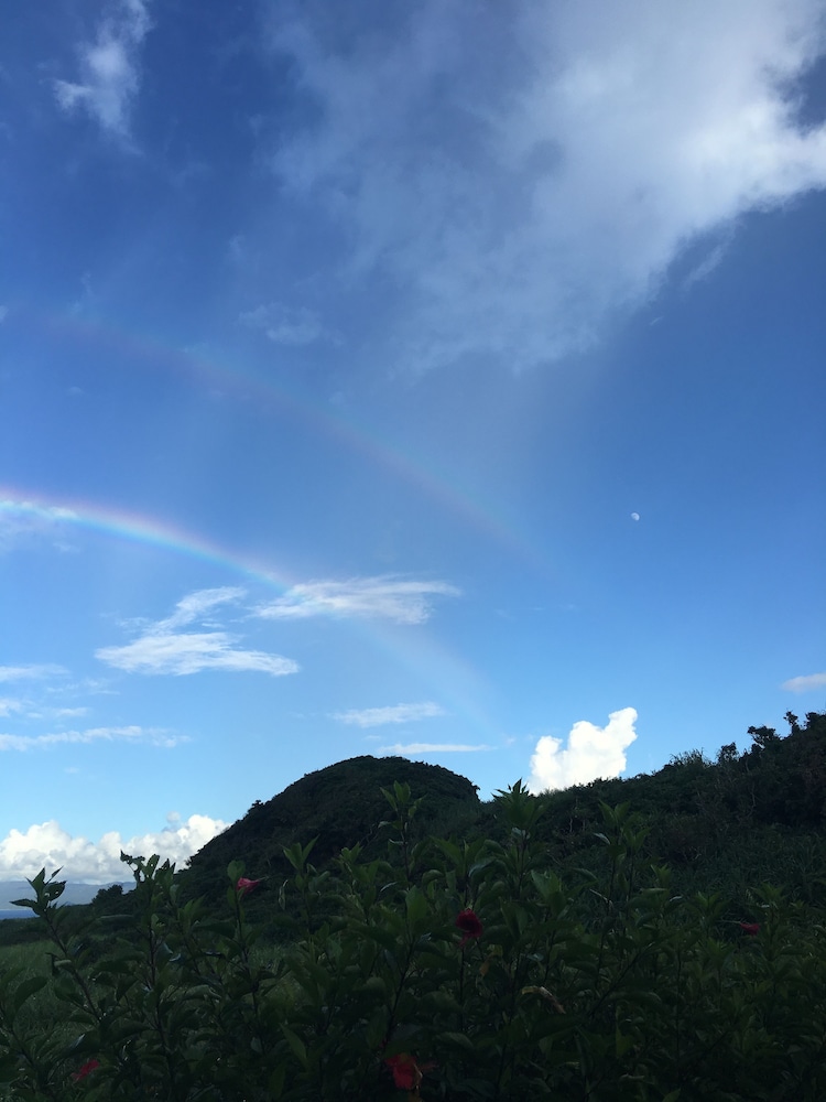 La casita kouri island