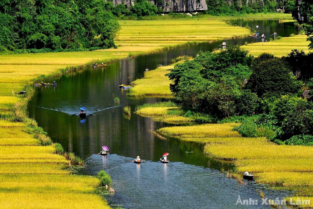 Photo 50