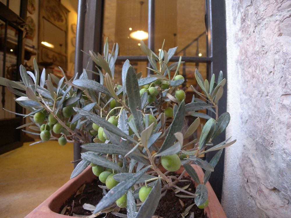 B&B A Casa delle Fate