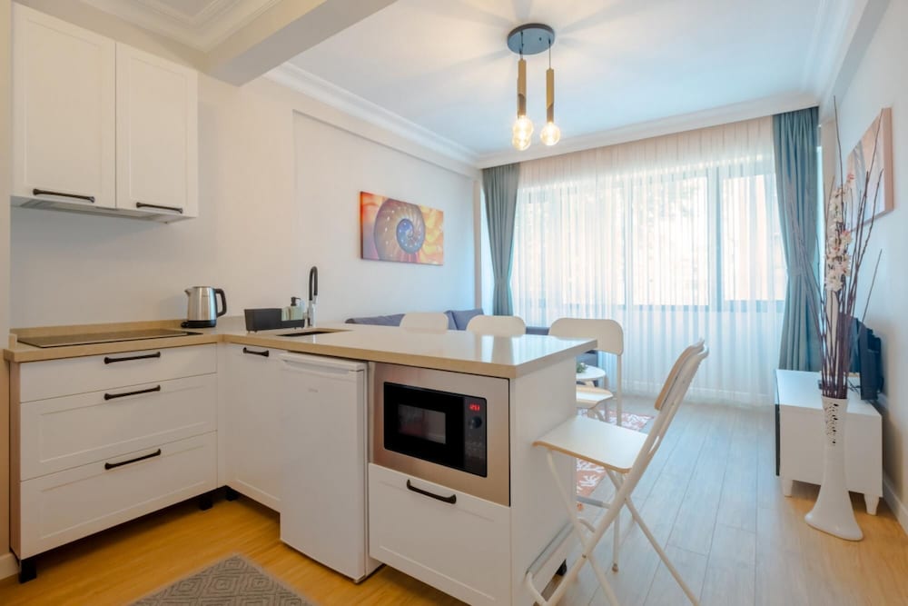 Spectacular Flat Near Bull Statue in Kadikoy