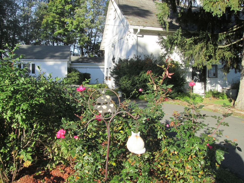 Photo 8