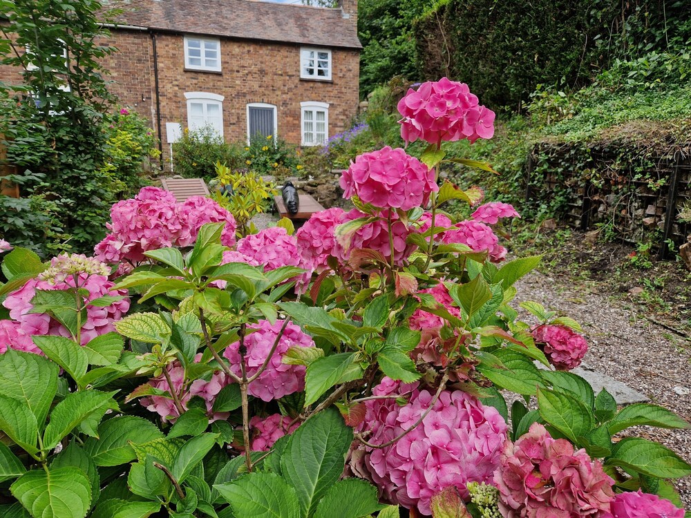 Photo 19
