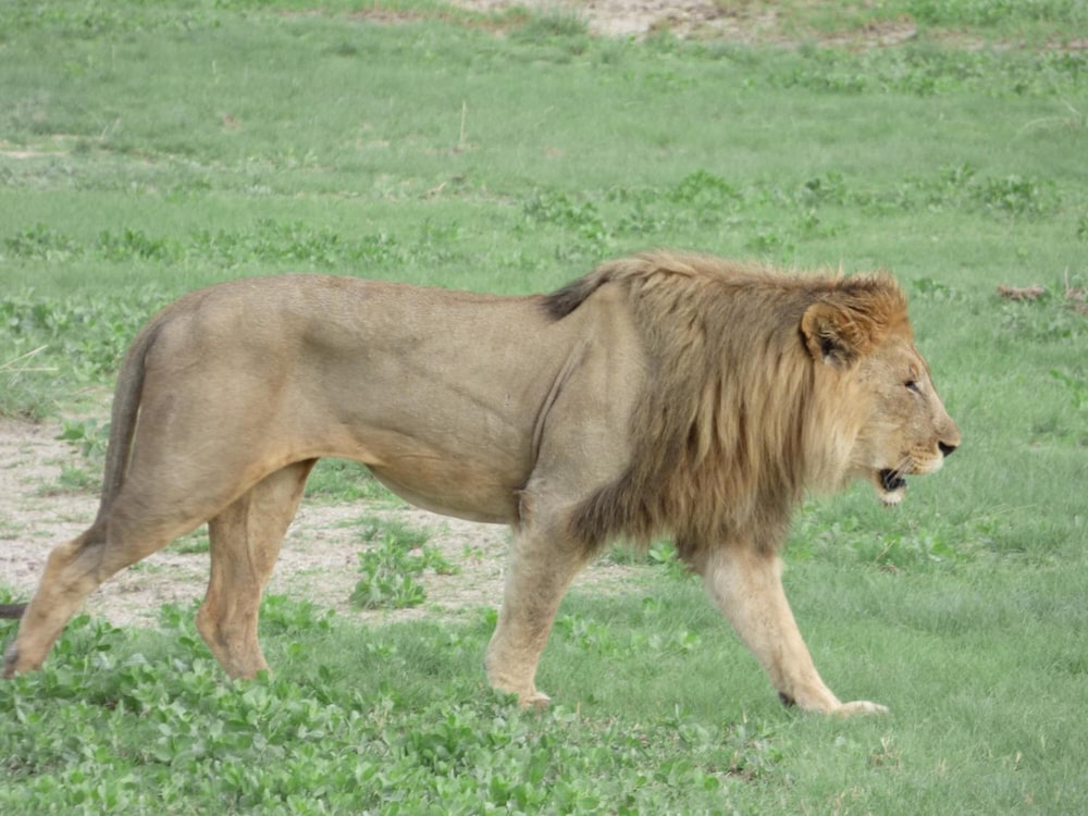 Photo 40