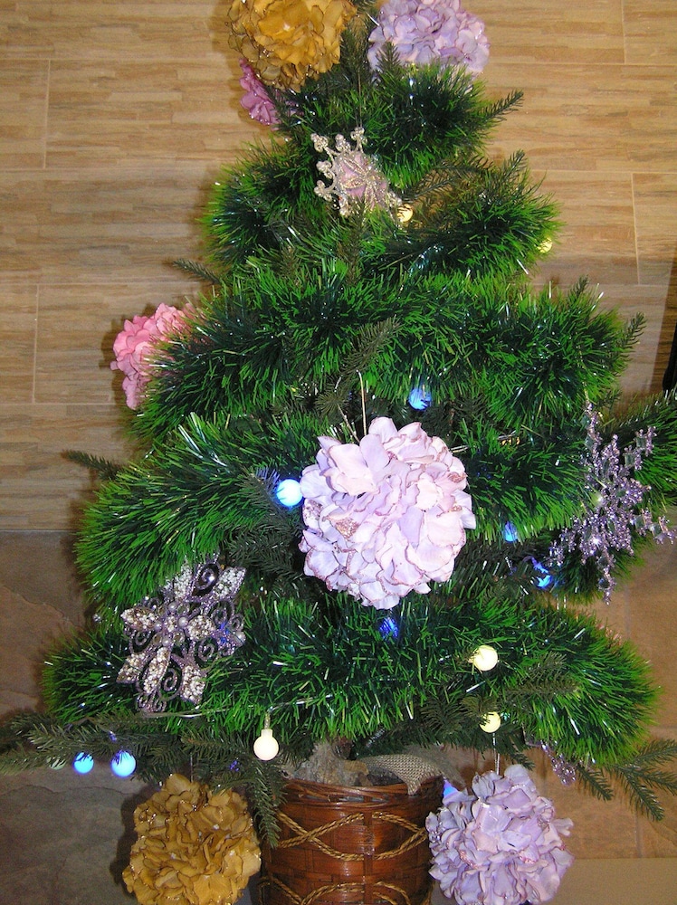 Photo 44