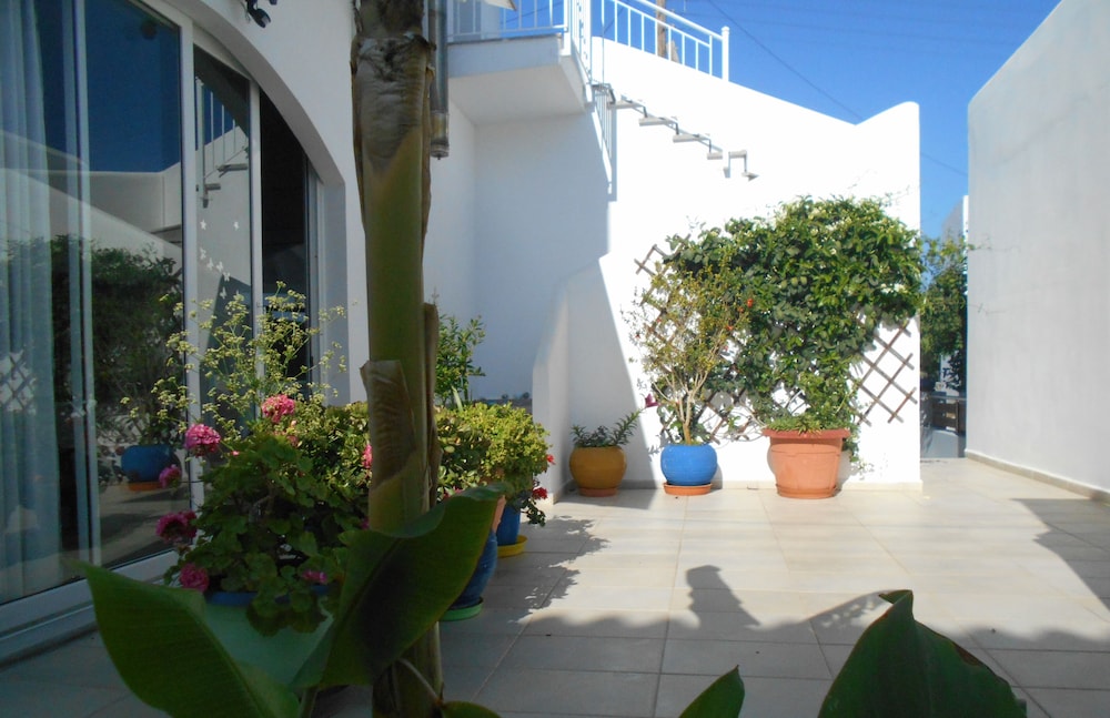 Photo 45