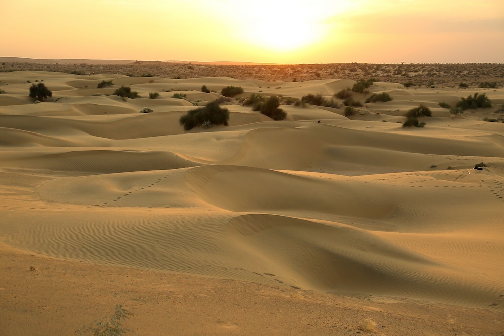 Sangram Desert Camp view 5