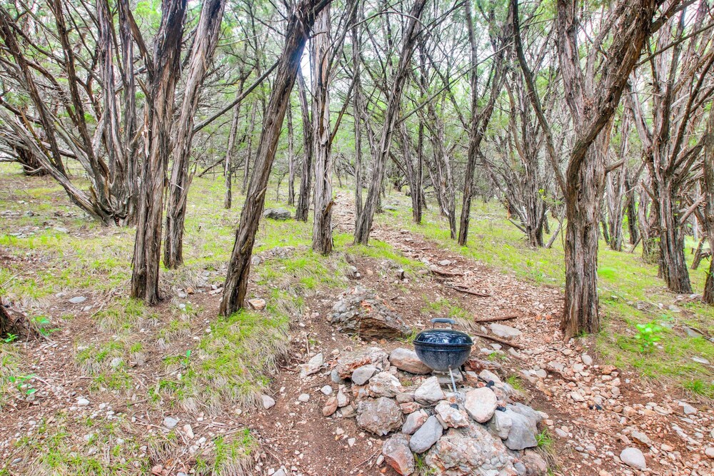 Cedar Falls Cabins #6: Hillside w/ Views!