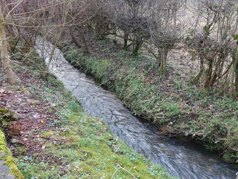 Photo 22