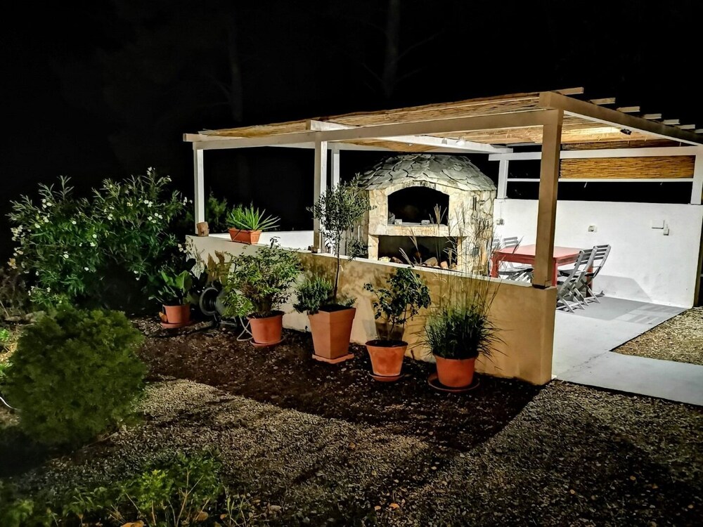 Dino - Gorgeous Garden - SA2 Jelsa