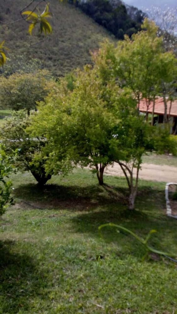 Photo 40