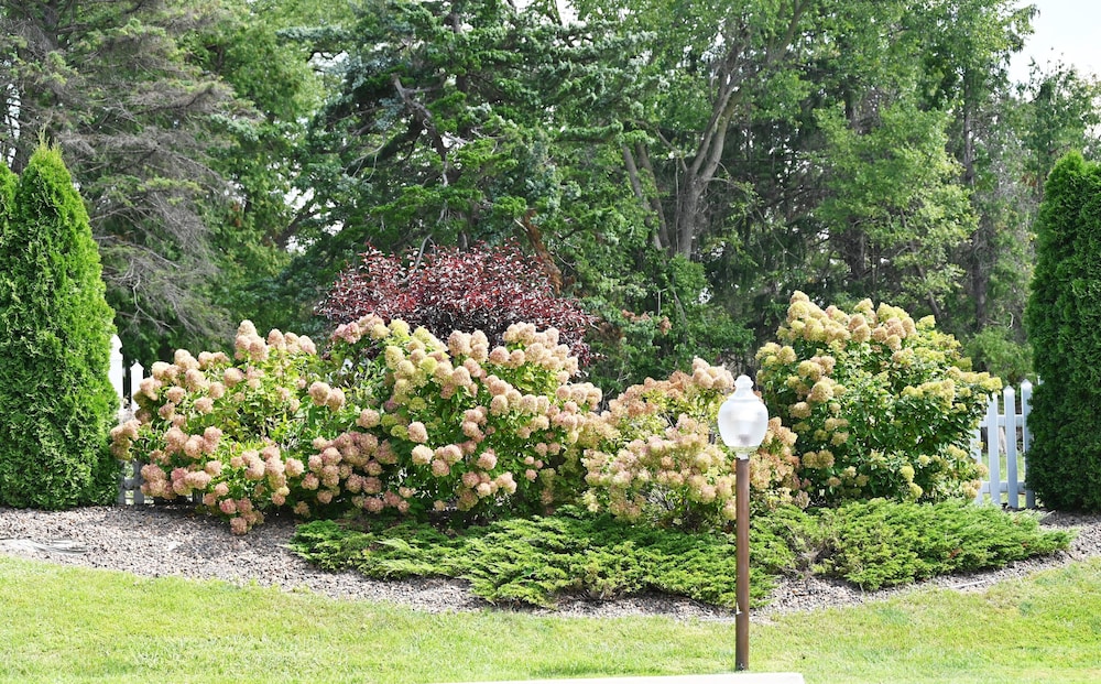 Fellows Creek Lodge