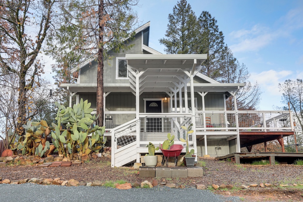 Bay Area Escape on 5 Acres: Pet Friendly, Views view 4