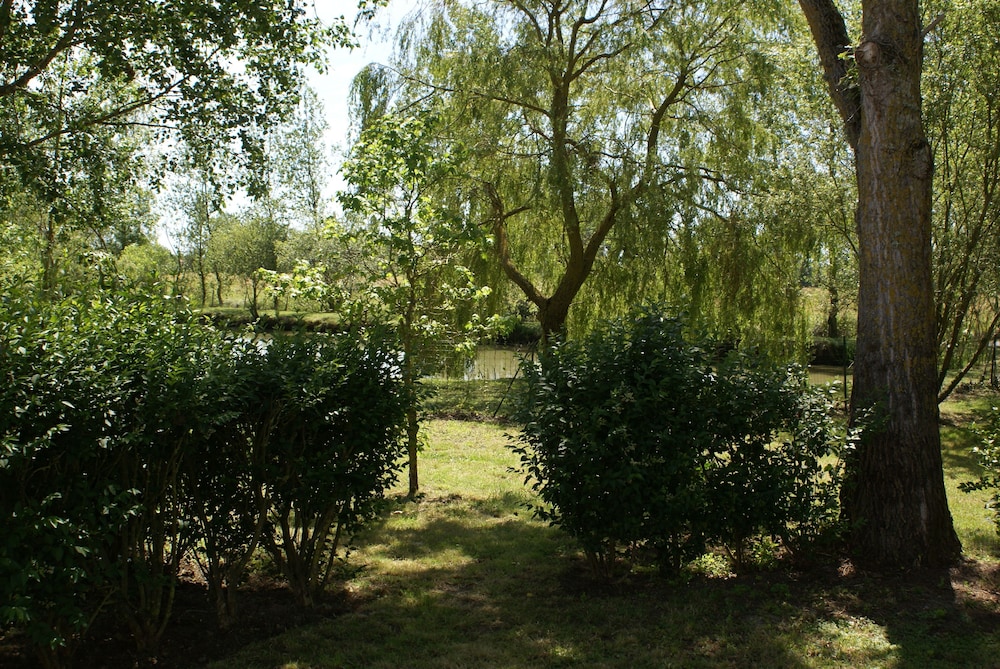 Photo 58