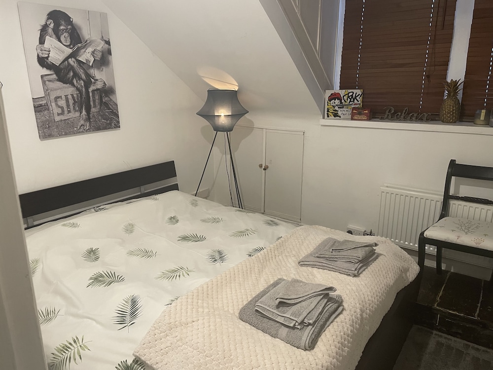 Entire Artistic Open-plan Top Floor Apartment view 4
