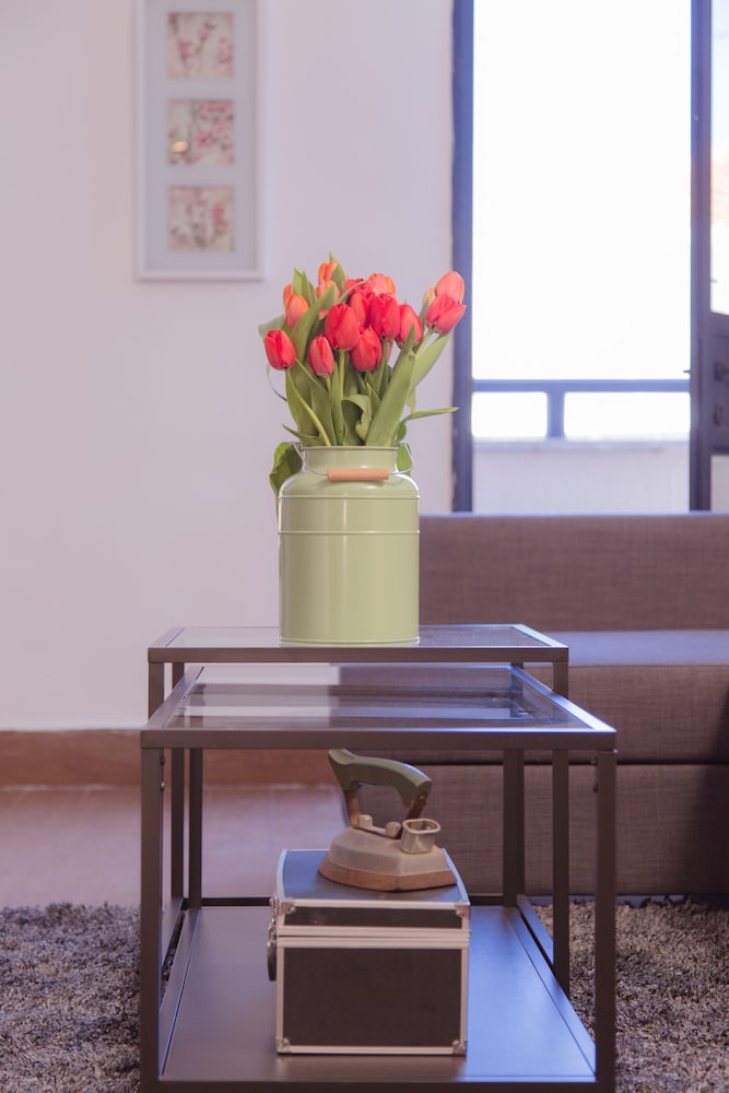 Shenkin Vilmar Apartments