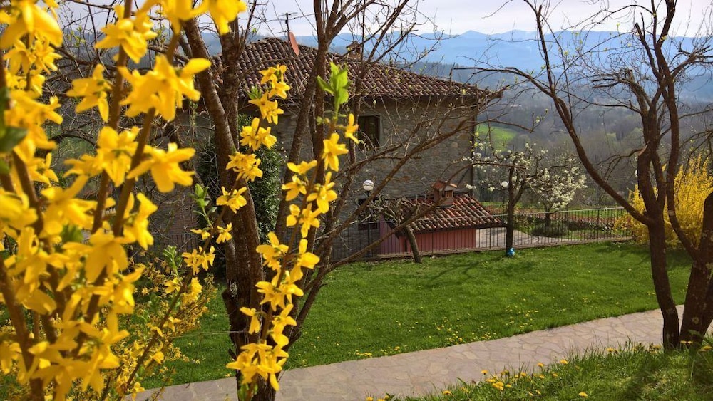 La Collina dei Franchi view 3