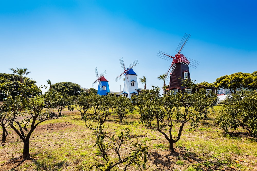 Olleh Windmill Pension & Guesthouse - Hostel
