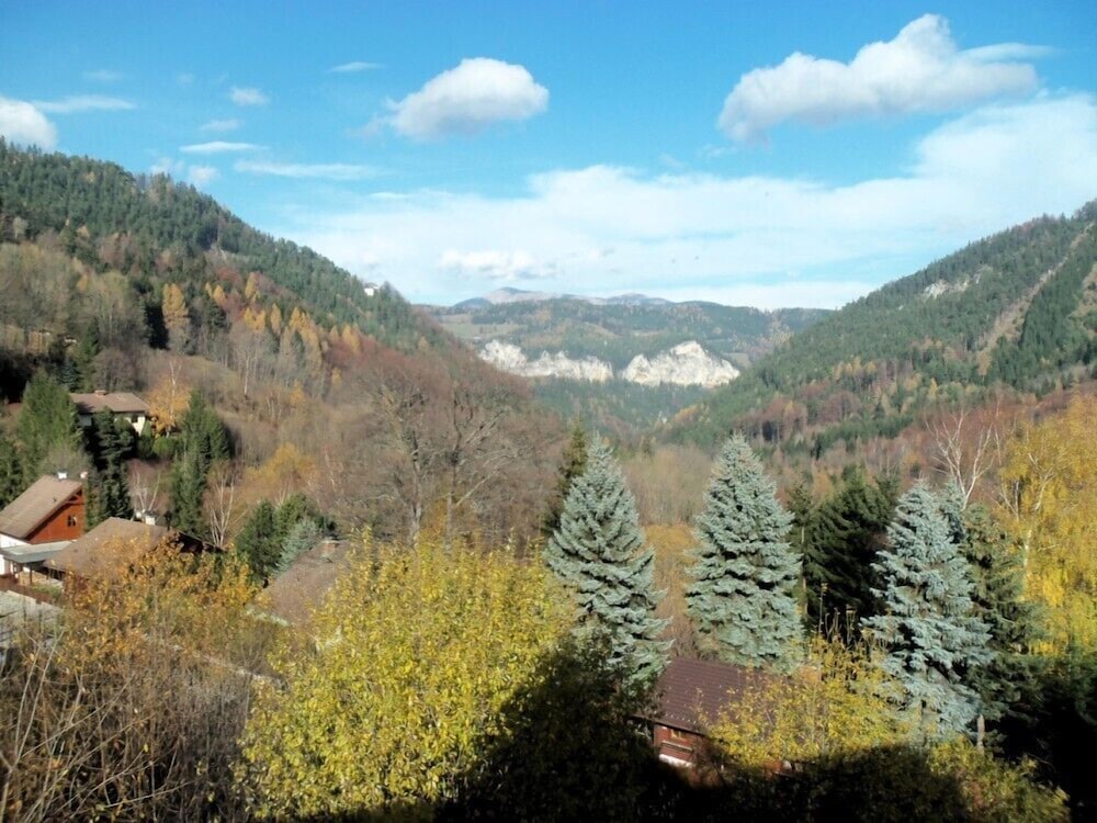 Villa Wellspacher view 5