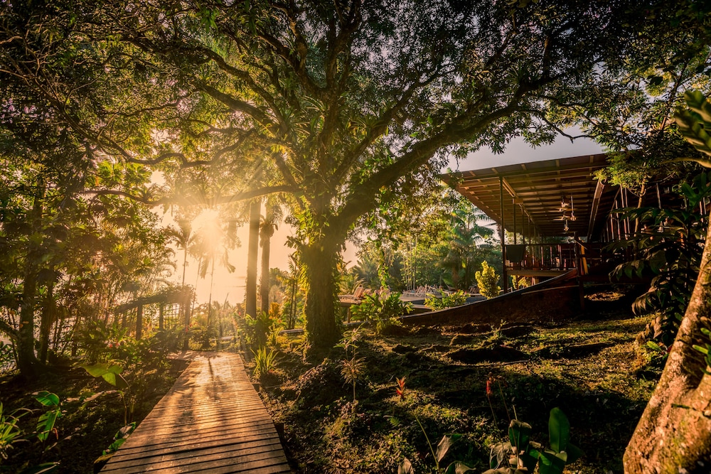 Bambuda Lodge - Hostel