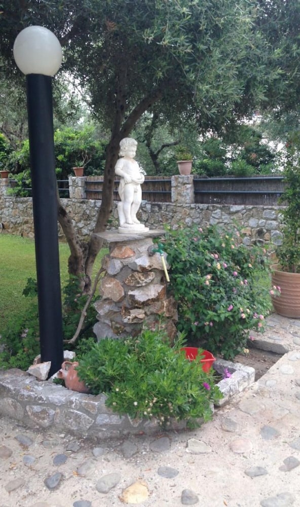 Photo 49