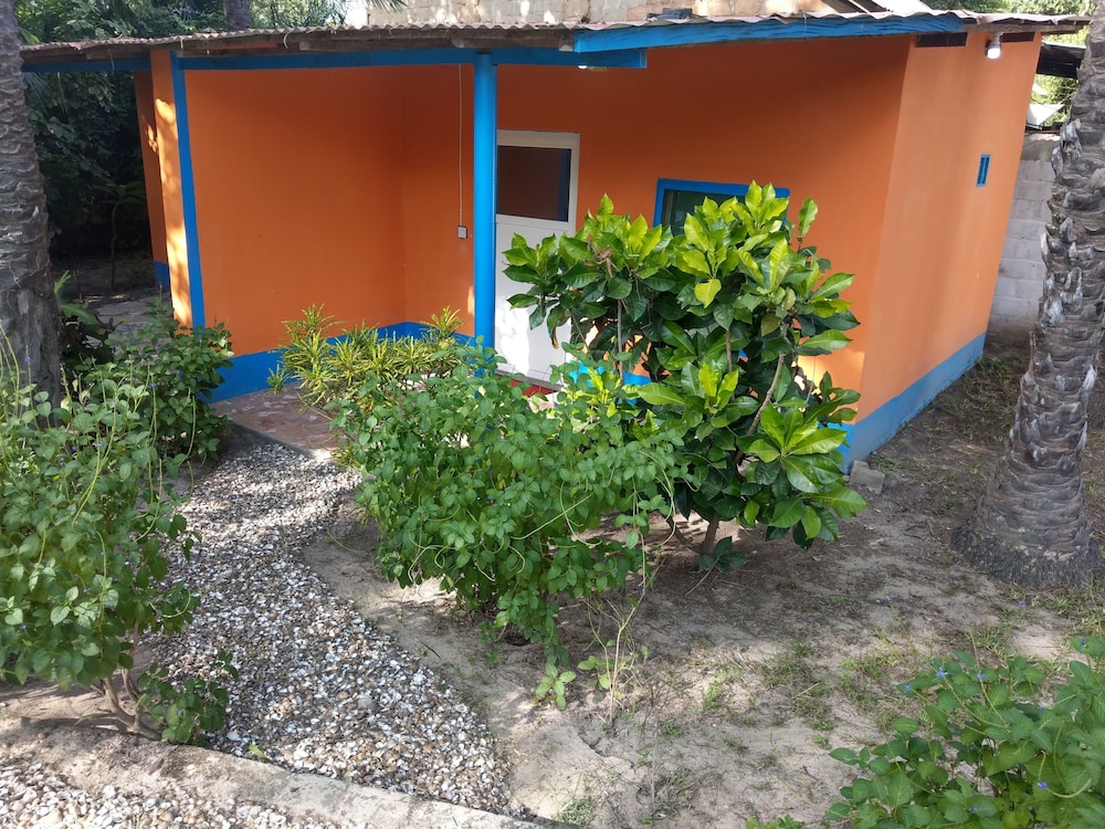 Photo 14