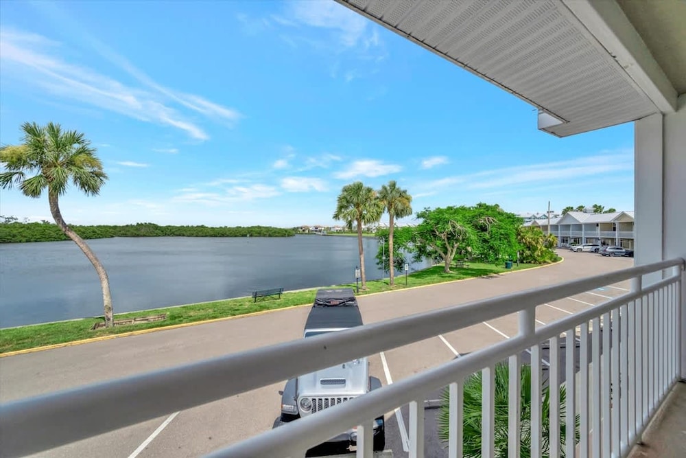 Watch the Dolphins Large Balcony Suite and Heated Pool